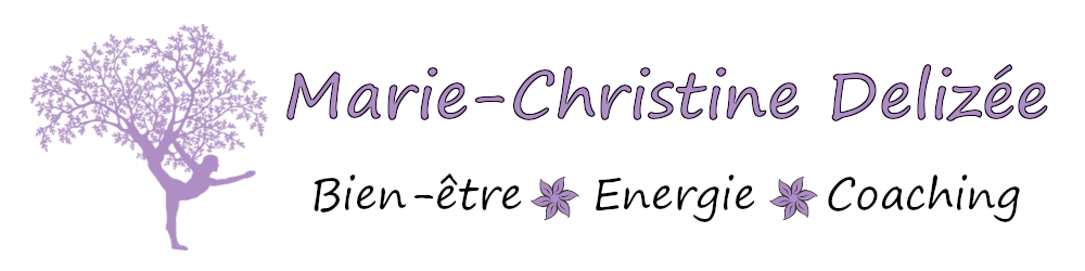 Banière